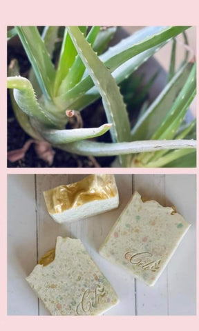 Aloe Vera bar soap